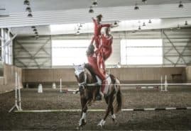 "Wolta", reż. Monika Kotecka, Karolina Poryzała