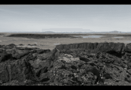 SEAL STORY, dir. 