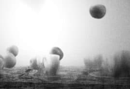 POLSKIE ANIMACJE NAGRODZONE PO RAZ KOLEJNY