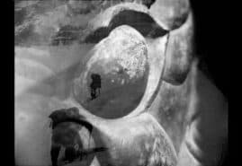 THE DISAPPEARANCE OF JANUSZ_KLARNER, dir. 