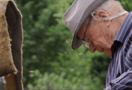 IN HARMONY, dir. 