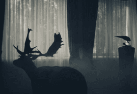 „OF ANIMALS AND MEN” AWARDED IN CHINA