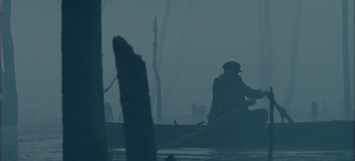 THE SHADOW FOREST