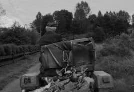 COLLECTION, dir. 