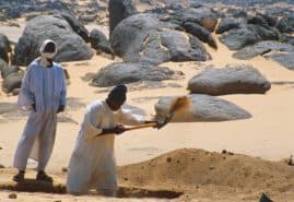 USŁYSZ NAS WSZYSTKICH, reż. 