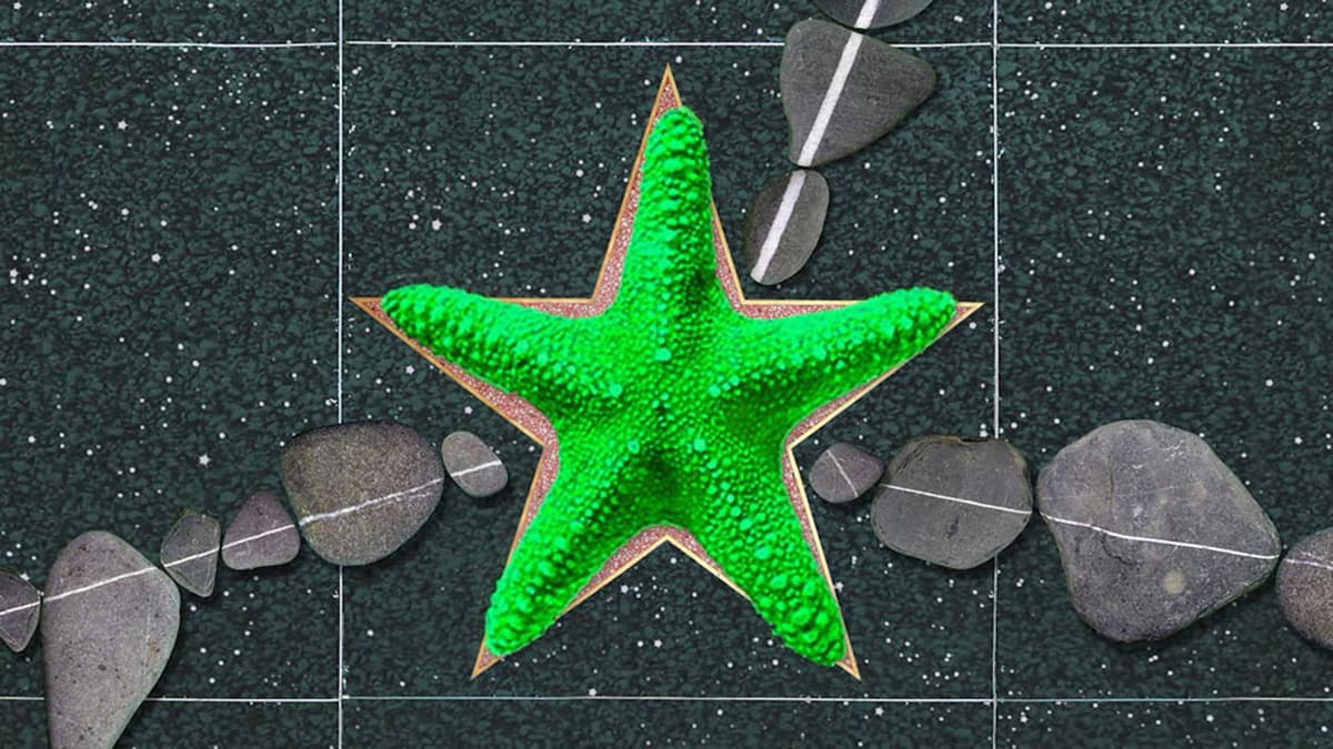 STONE STORY