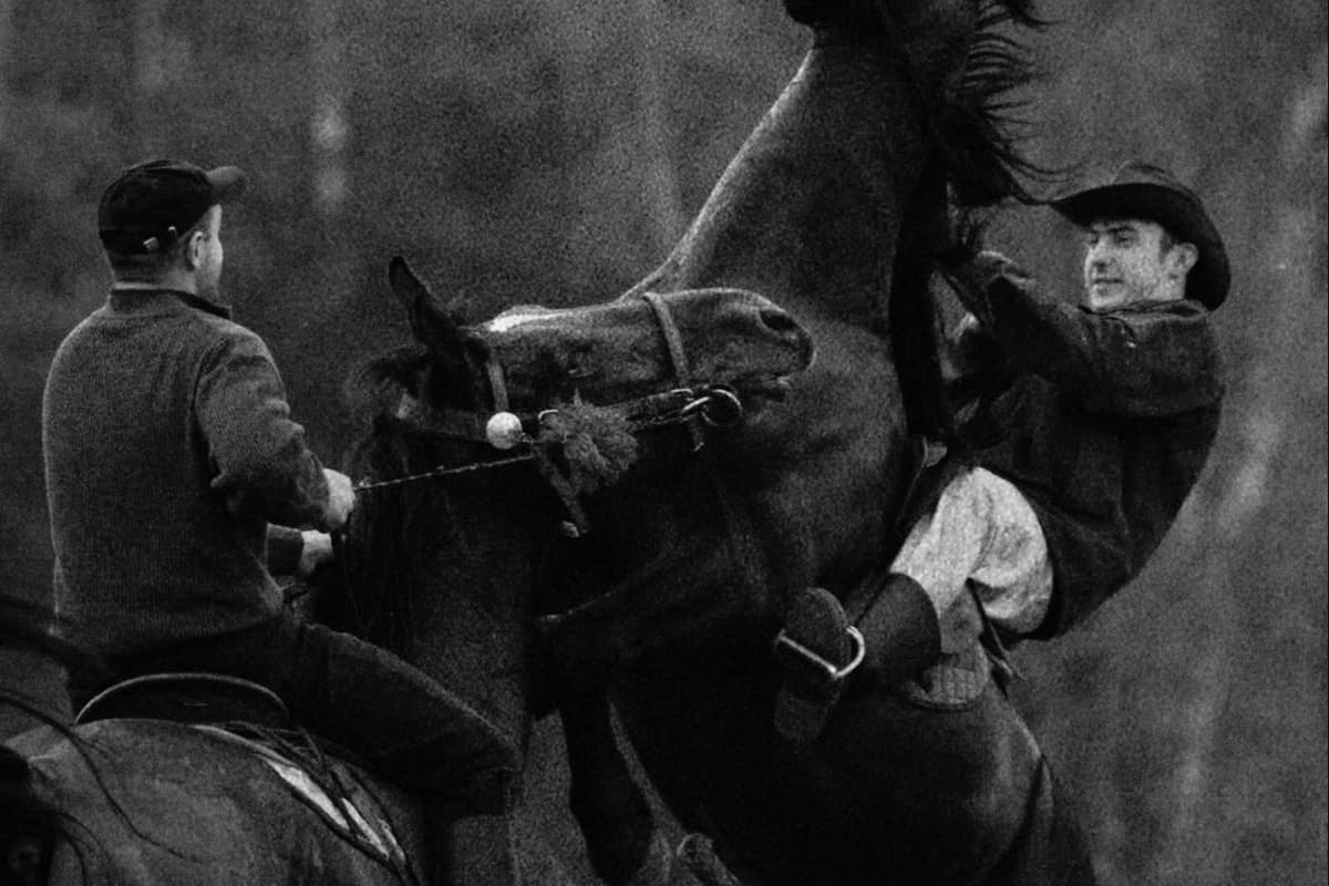 HORSE RIDERS