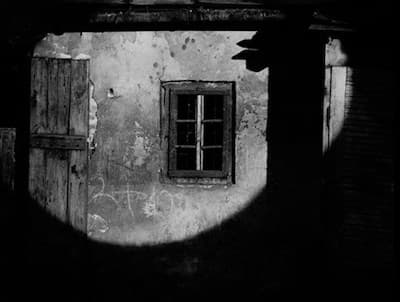 ŻEBY TYLKO NAS NIE ZNALEŹLI | reż. Maja Górczak